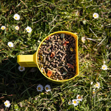 Gezonde slobber en muesli met de kracht van de natuur