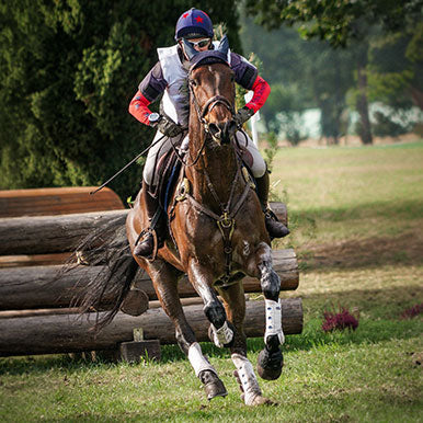 Hoeveel pk heeft een paard?