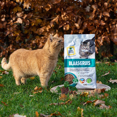 De bewezen effectiviteit van Blaasgruis kattenbrokken