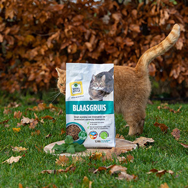 Hoe herken je blaasgruis bij katten?