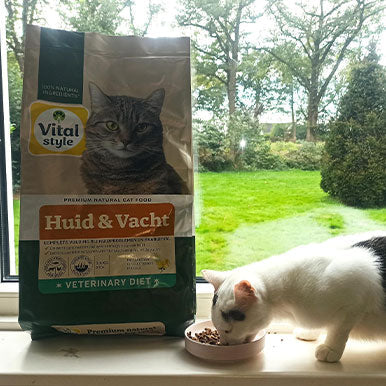 Getest: 3 maanden Huid & Vacht bij katten