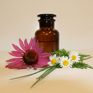 Student Klassieke Homeopathie vertelt: Homeopathie bij dieren