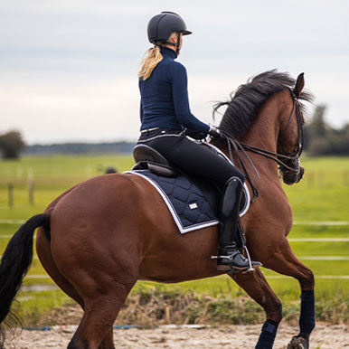 Meer spierkracht voor jouw paard