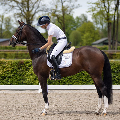 Stress bij je paard onder controle