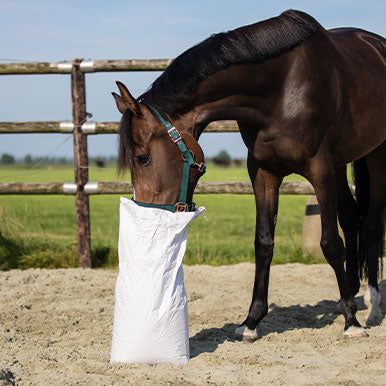 Suikervrij paardenvoer, kan dat?