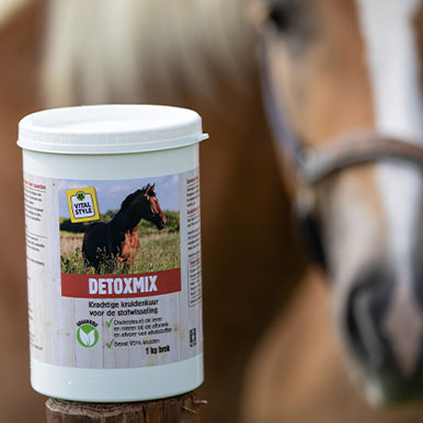 Waarom je paard detoxen?