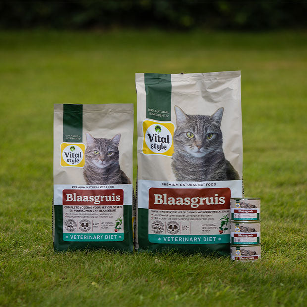 Blaasgruis bij katten