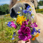 WeideBloemen