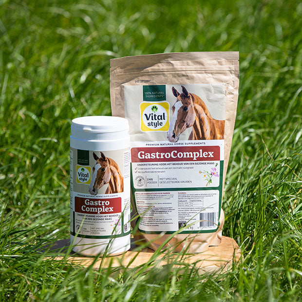 GastroComplex