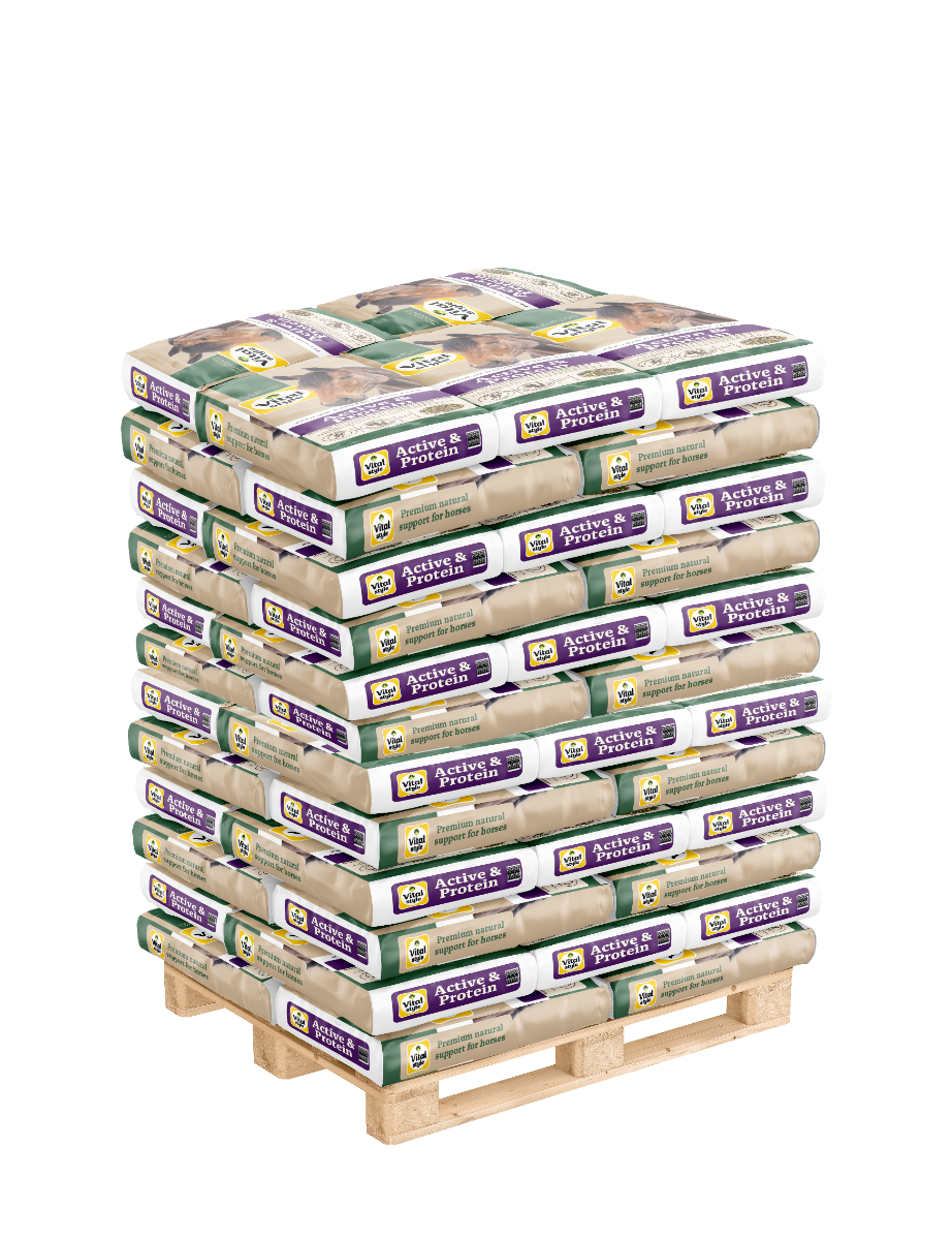 Pallet Muesli Active & Protein