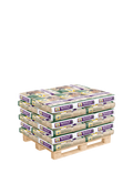 Pallet Muesli Active & Protein