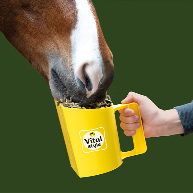 Vitalstyle Voerschep
