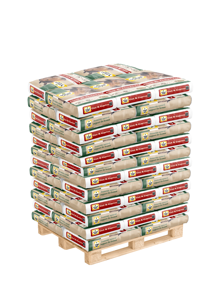 Pallet Muesli Gut & Gastro