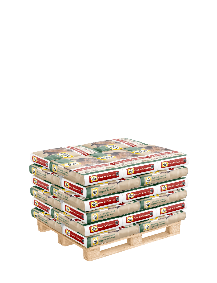 Pallet Muesli Gut & Gastro