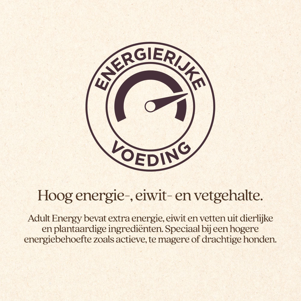 Hond Adult Energy Brok