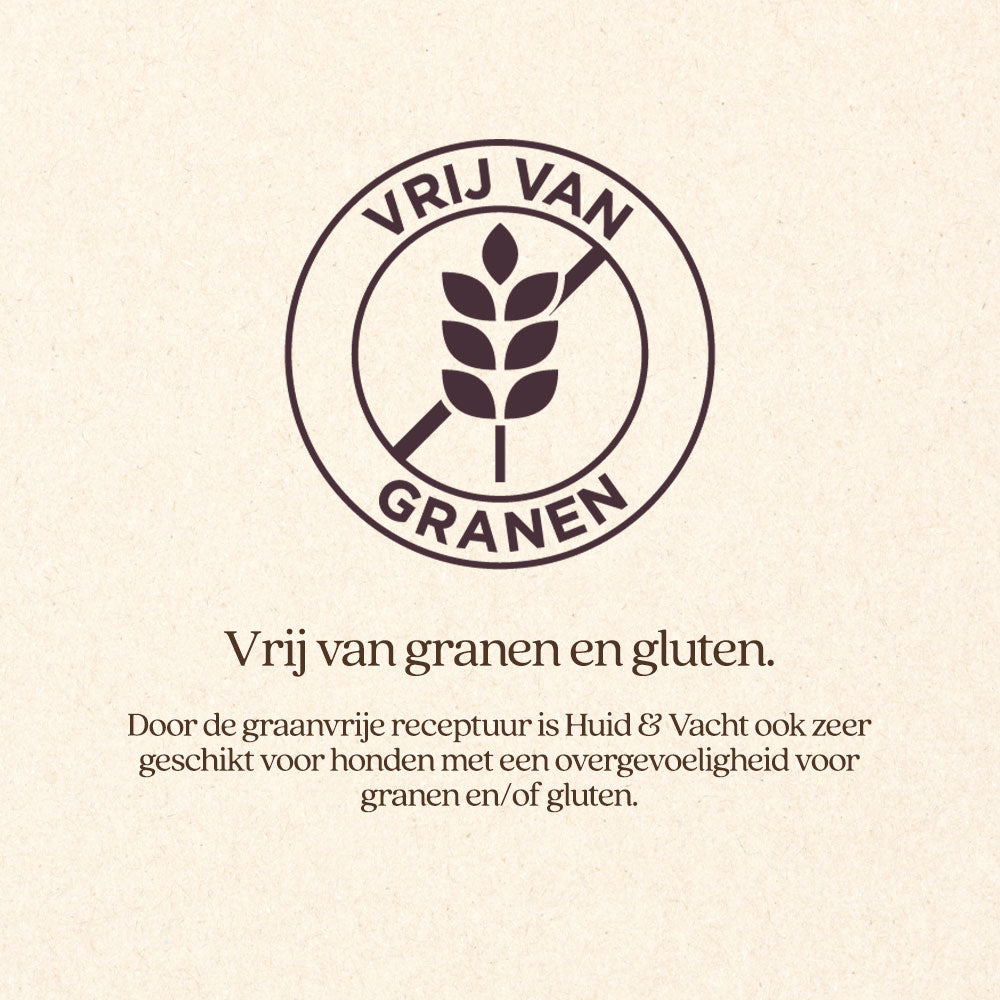 Hond Huid & Vacht Natvoer Blik