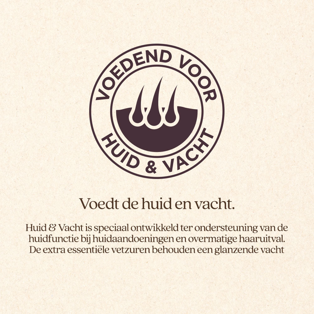Hond Huid & Vacht Brok