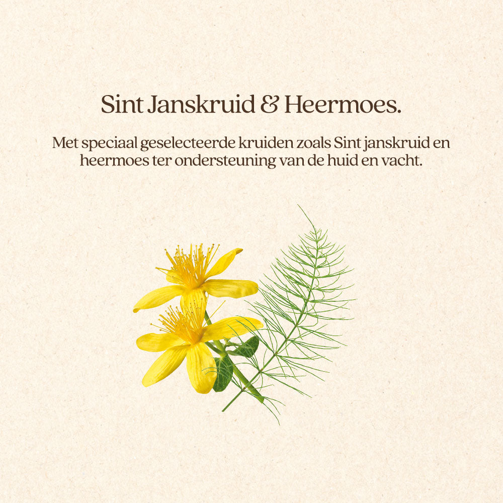 Kat Huid & Vacht Natvoer Blik