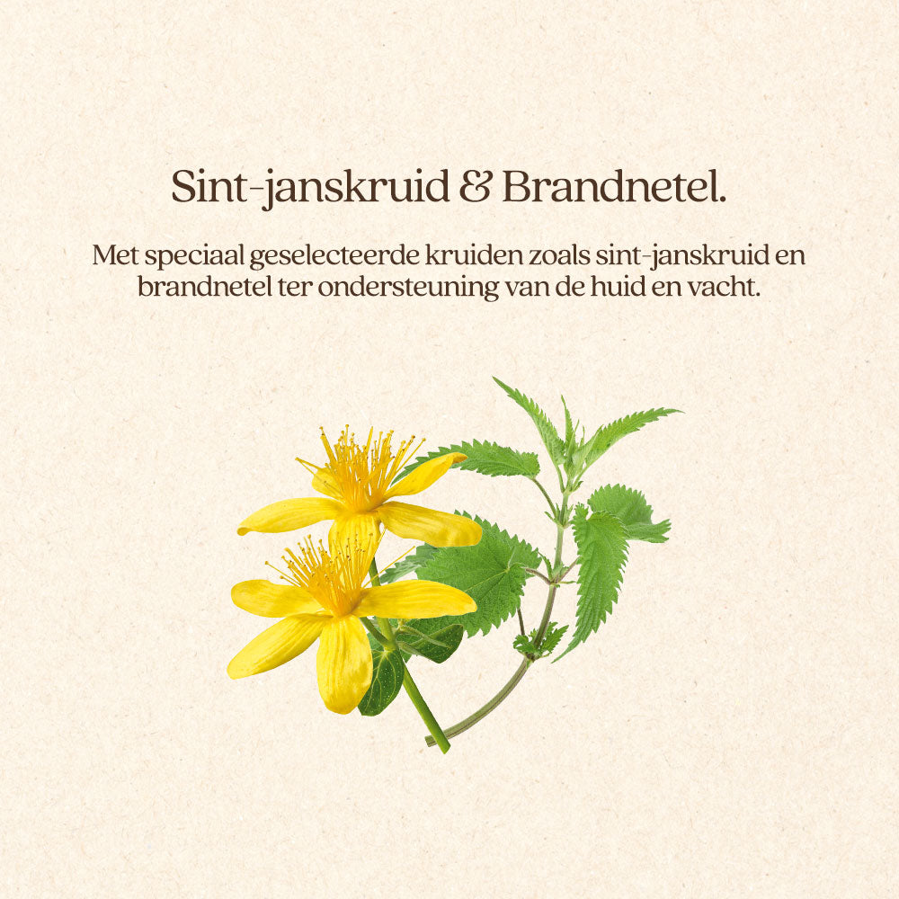 Hond Pup & Junior Natvoer Blik