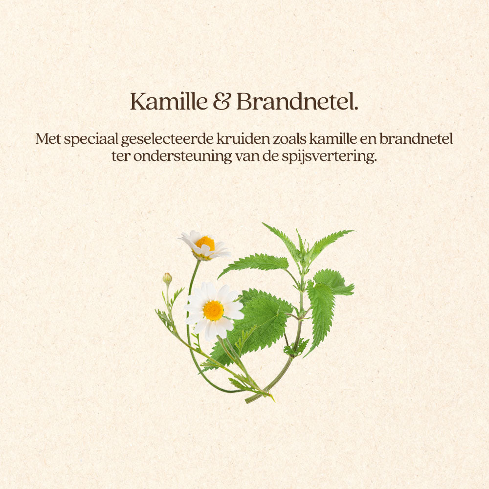 Hond Maag & Darmen Natvoer Blik