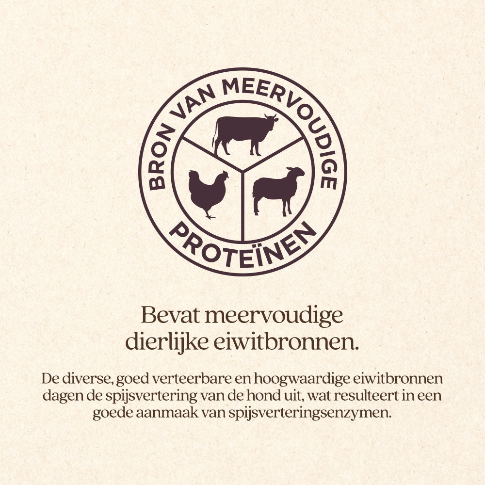 Hond Weight Control Brok