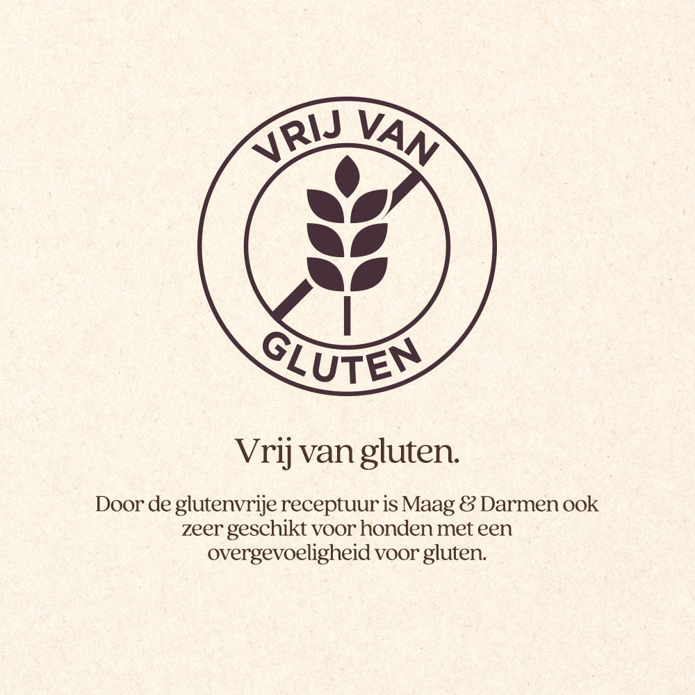 Hond Maag & Darmen Natvoer Blik