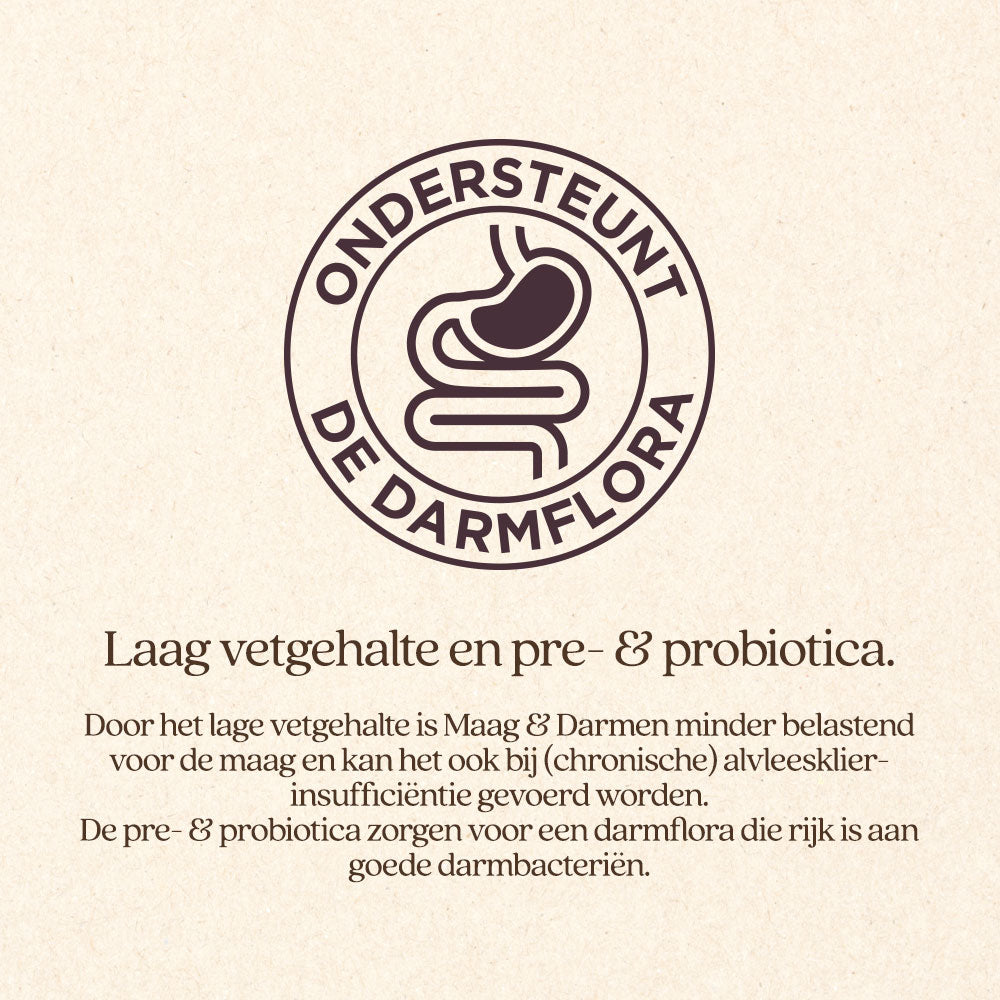 Hond Maag & Darmen Brok