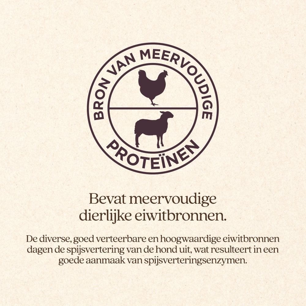 Hond Pup & Junior Natvoer Blik