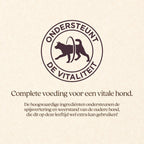 Hond Senior Mini Brok