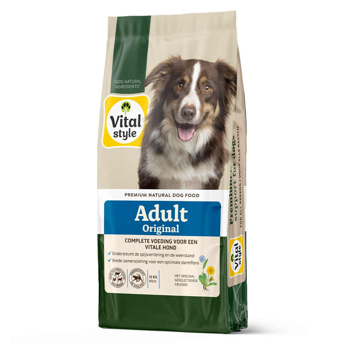 Hond Adult Original Brok