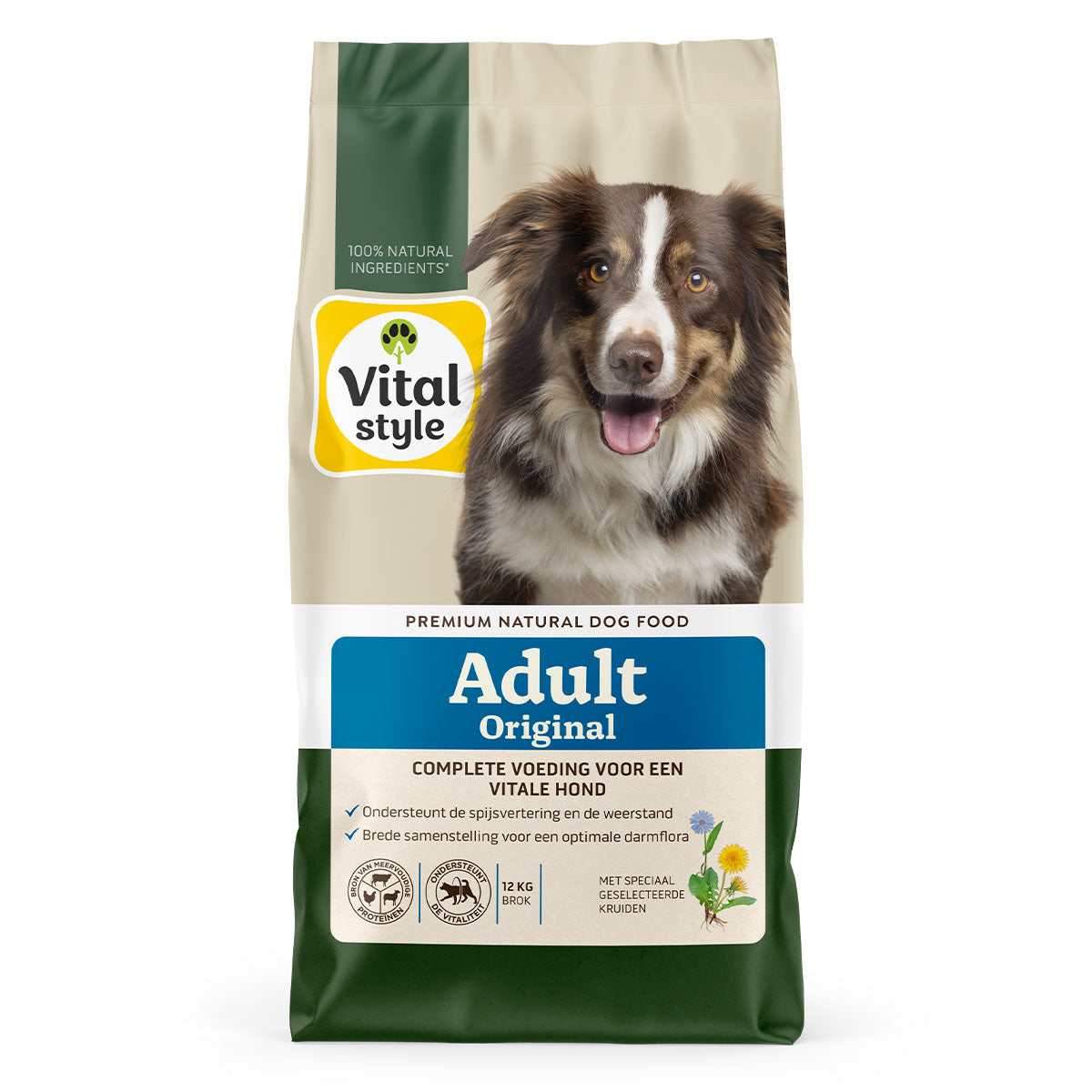 Hond Adult Original Brok