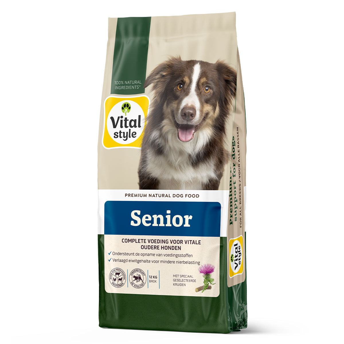 Hond Senior Brok