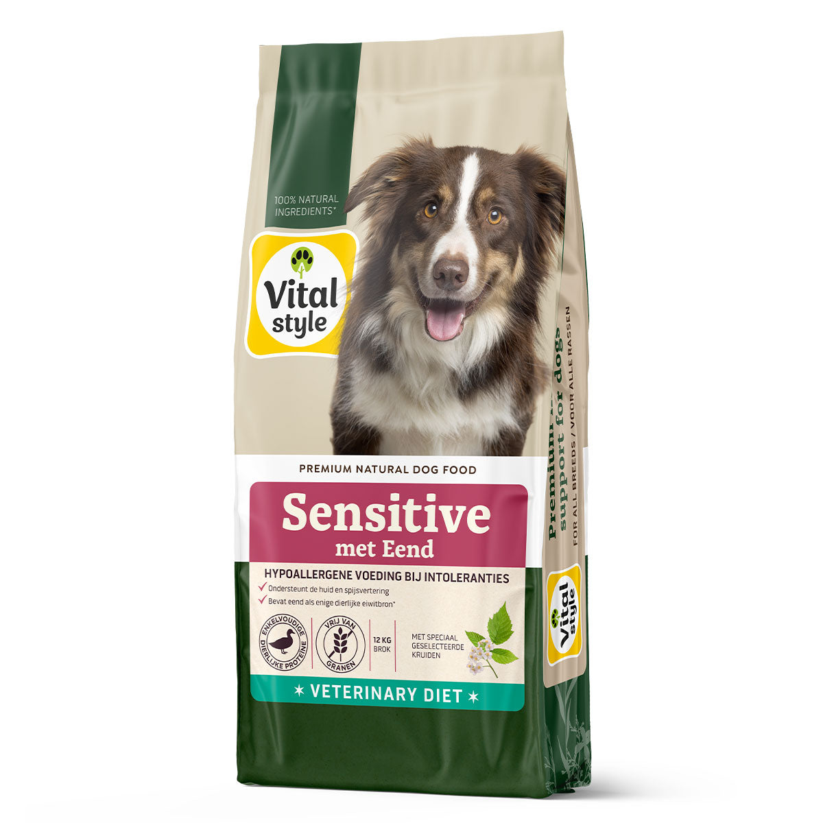 Hond Sensitive Met Eend Brok