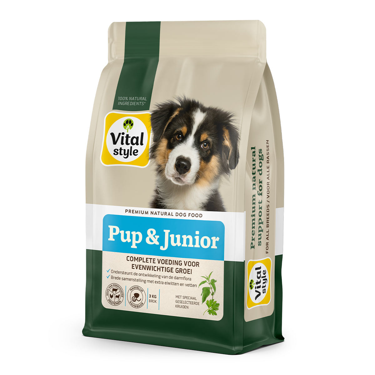 Hond Pup & Junior Brok