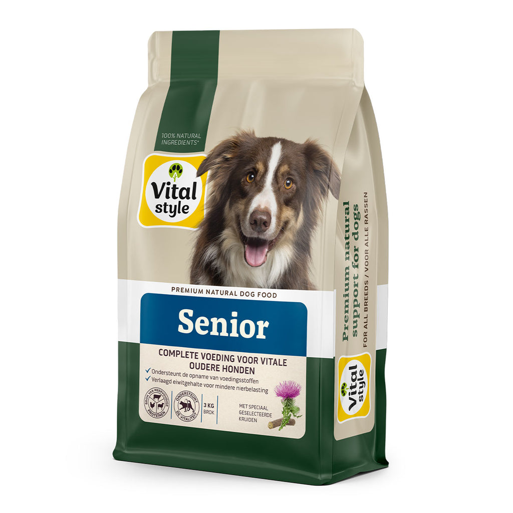 Hond Senior Brok