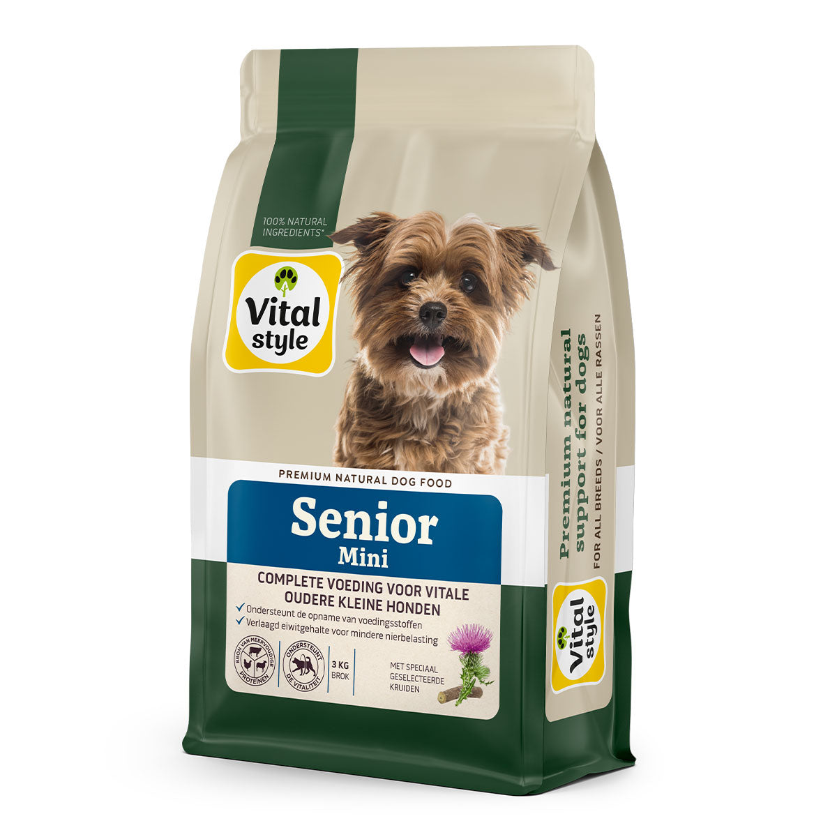 Hond Senior Mini Brok