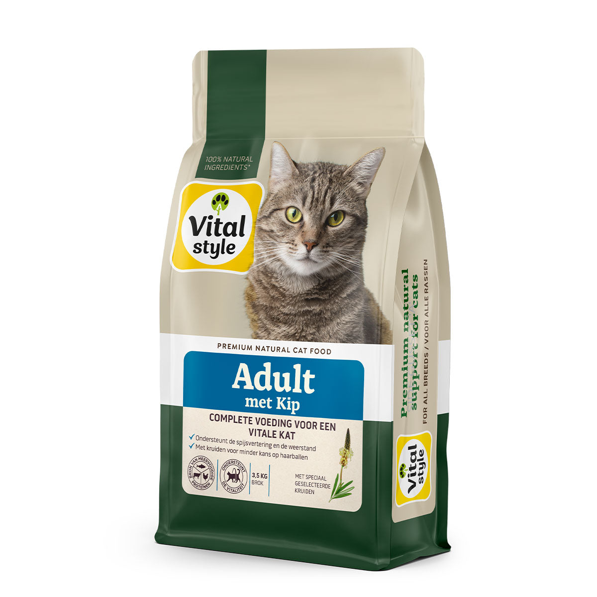 Kat Adult Met Kip Brok