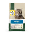 Kat Adult Met Kip Brok