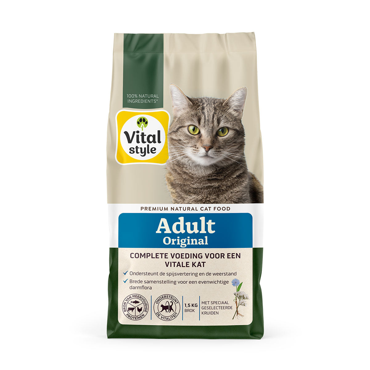 Kat Adult Original Brok