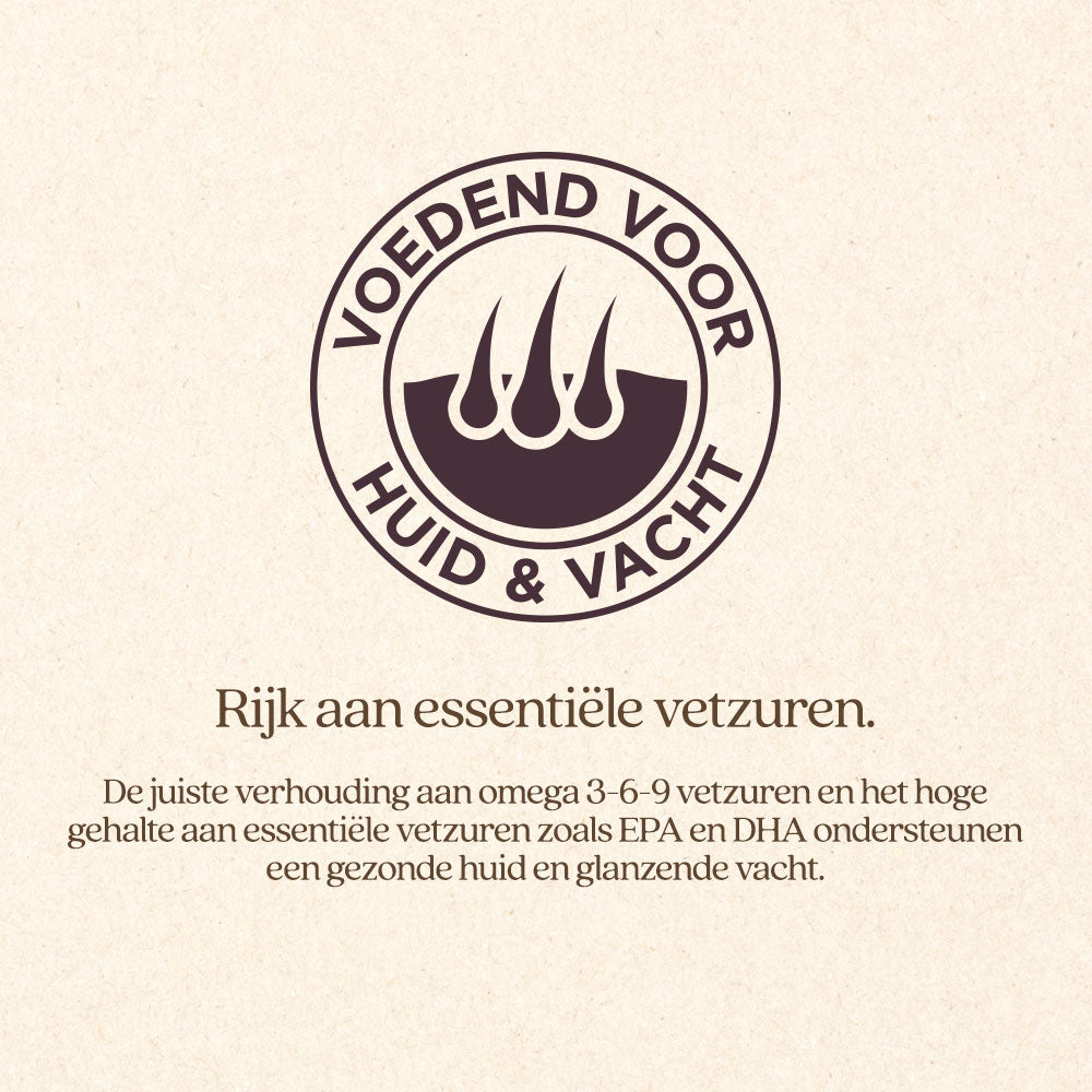 Kat Huid & Vacht Natvoer Blik