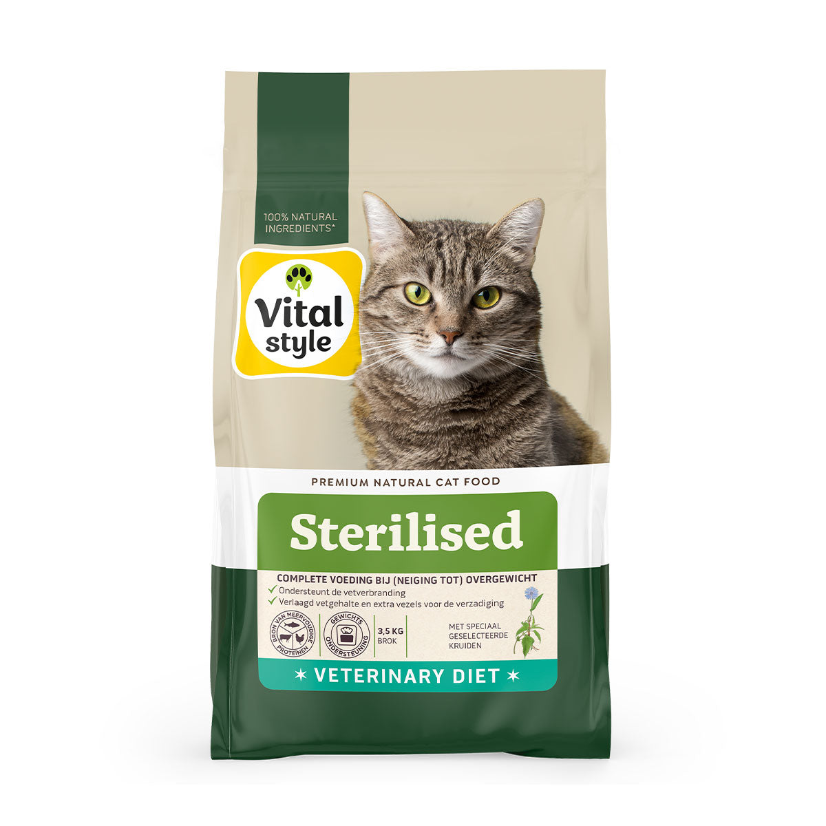 Kat Sterilised Brok