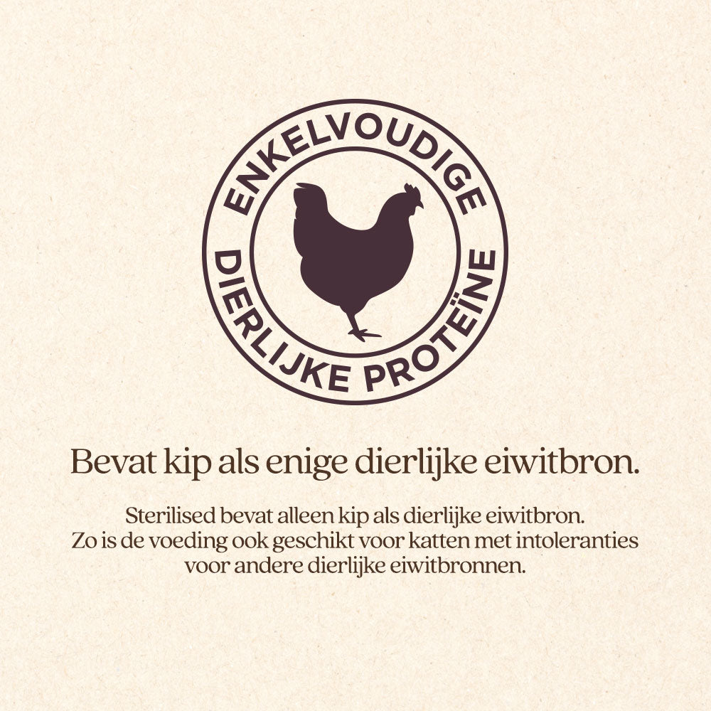 Kat Sterilised Natvoer Blik