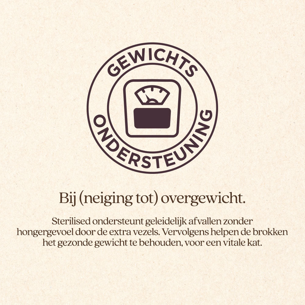 Kat Sterilised Brok