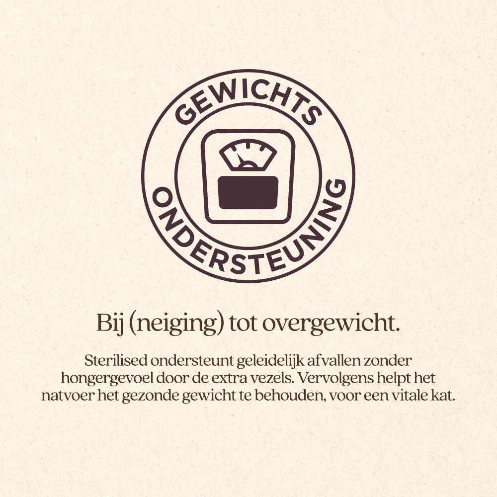 Kat Sterilised Natvoer Blik