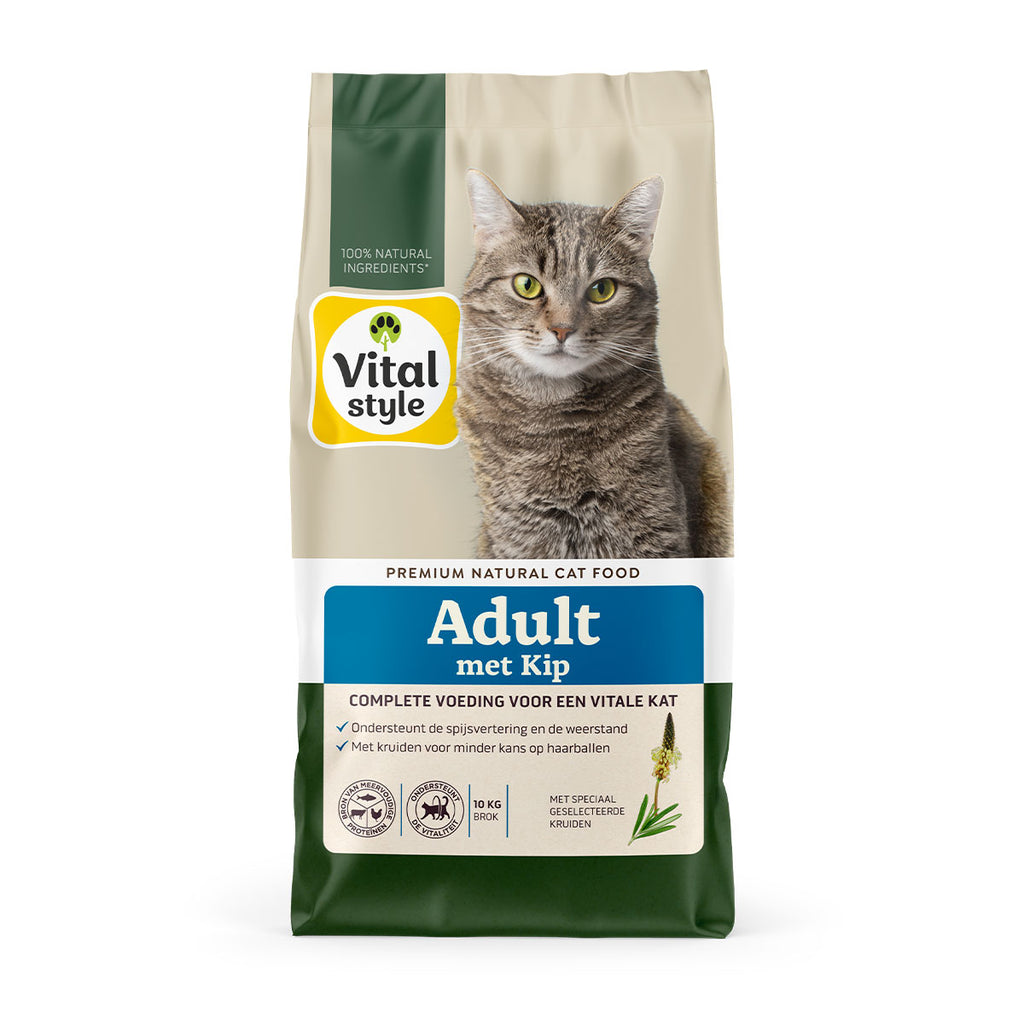 Kat Adult Met Kip Brok