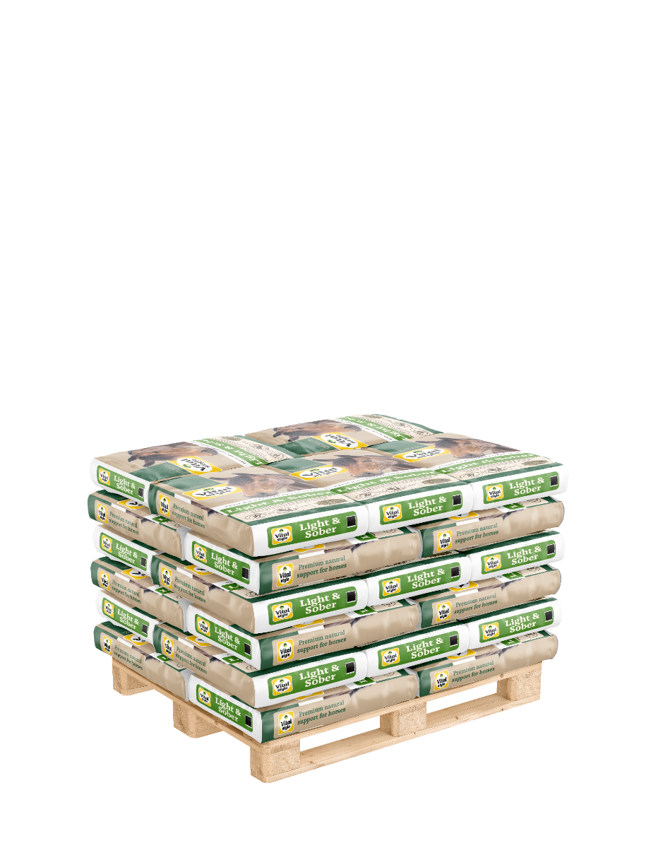 Pallet Muesli Light & Sober