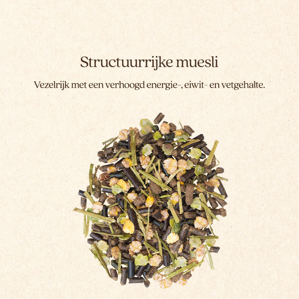 Muesli Active & Protein