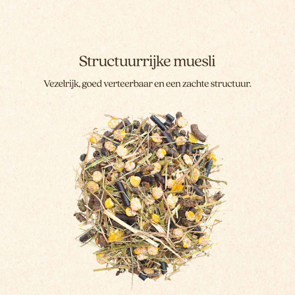 Muesli Gut & Gastro