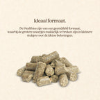 Healthies met Kamille