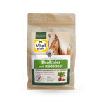 Healthies met Rode biet